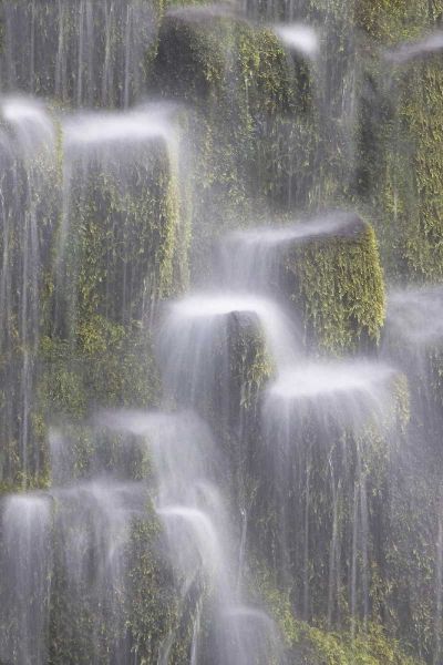 OR, Willamette NF Proxy Falls cascading water